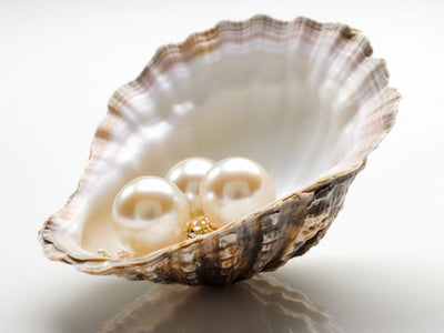 Pearls: Nature's Timeless Treasure and Essential Guide to Pearl Jewelry Care